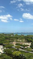 Vela Bay (D16), Apartment #555384191